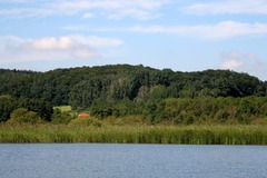 Killikus&reg; Fotographie